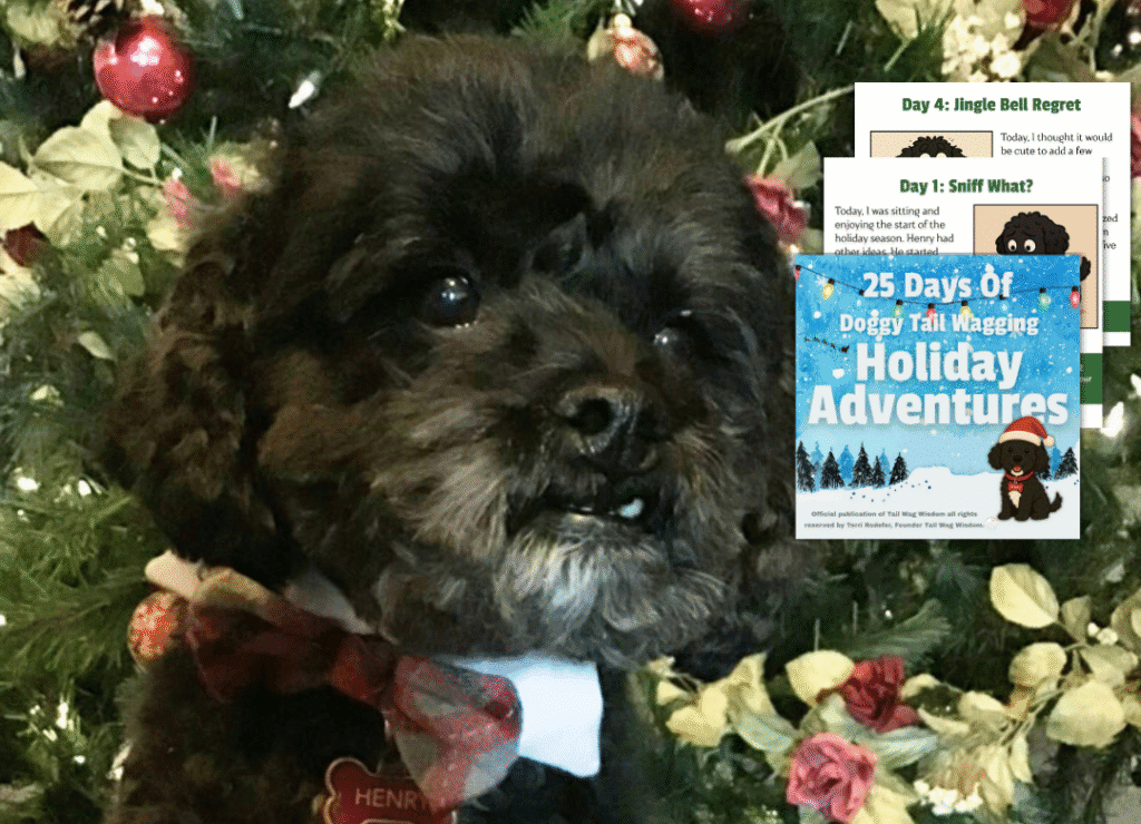 Henry with a few pages of his dog holiday ebook