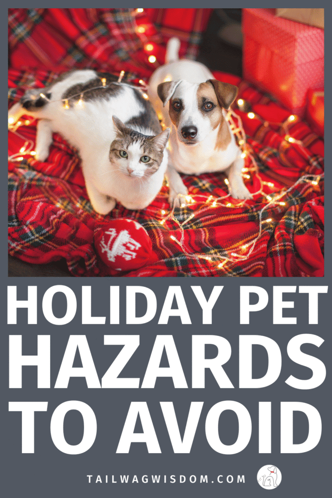 Discover holiday pet hazards, Christmas pet safety tips, and simple ways to keep your pup safe. Perfect for dog moms and dog lovers! For more great pet tips check out tailwagwisdom.com