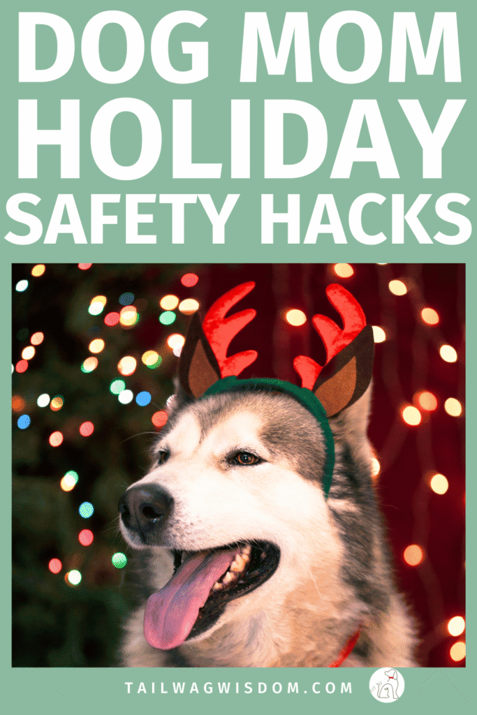 Avoid Christmas pet safety issues with these simple dog care tips. Great for dog moms and pet lovers! Discover more great dog safety tips at tailwagwisdom.com