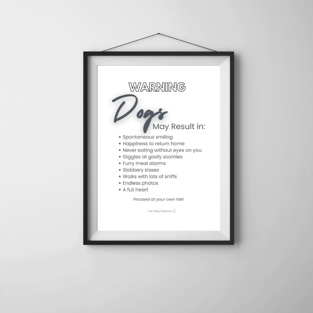 funny dog lover gift printable quote with a warning about dogs is framed and hanging on a wall