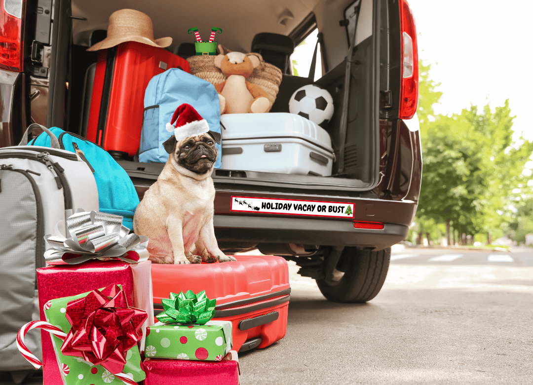 a pug is ready for a dog holiday traveling adventure