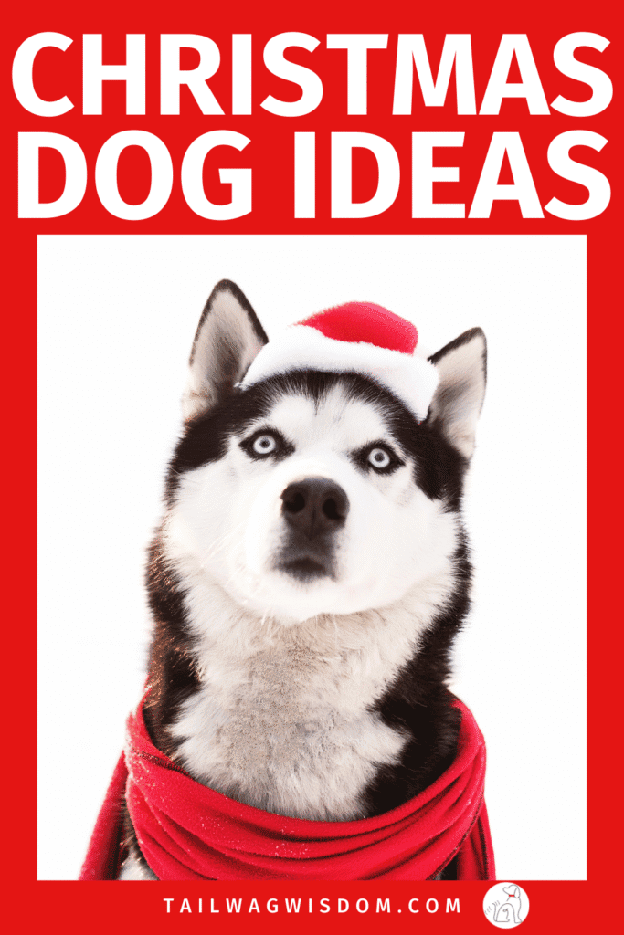 Want new holiday ideas you can enjoy with your dog? These fun, low-cost traditions add joy to your season without buying dog gifts for Christmas or stocking up on dog necessities. Perfect for dog lovers and dog moms who love simple, meaningful moments with their pups. Find more great dog mom ideas at tailwagwisdom.com