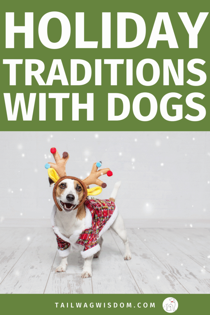 Looking for Christmas ideas that won’t drain your wallet? These holiday traditions are perfect for dog lovers and dog moms who want meaningful, memory-packed moments with their pups. From cozy Christmas inspiration to simple dog life adventures, these ideas make the season brighter for free or nearly free. Get more fun dog ideas for dog lovers at tailwagwisdom.