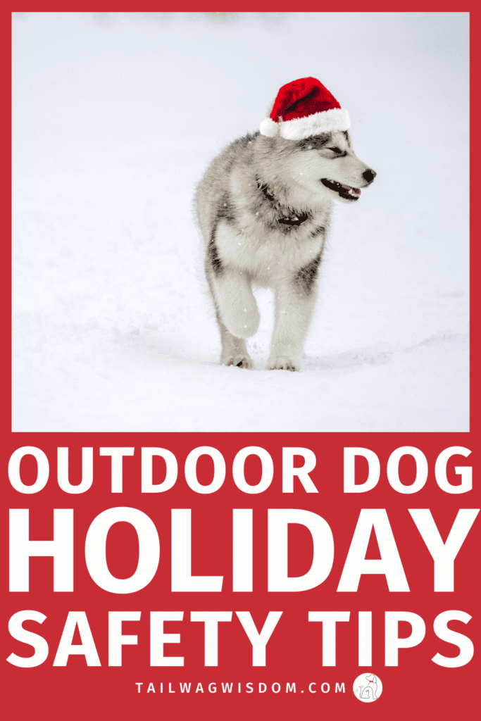Make your dog outdoor play area safe and festive with these smart dog safety ideas. From winter hazards to holiday traditions in your dog outdoor area, these dog hacks help your pup enjoy the season safely. Great for dog care focused dog moms and dog lovers. Get more great dog care tips at tailwagwisdom.com