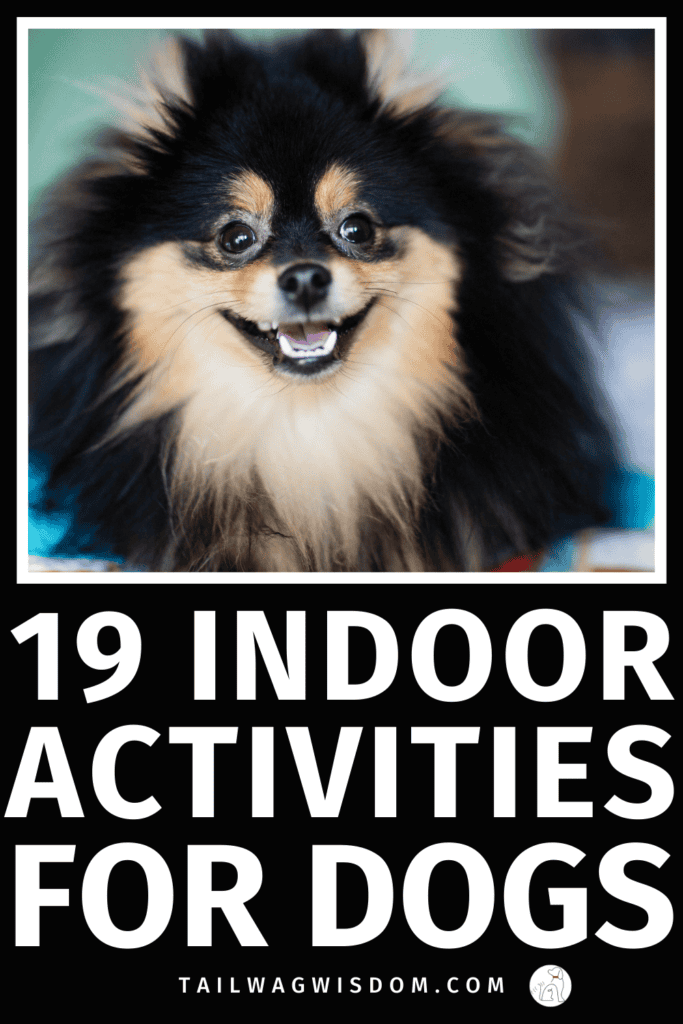 Beat dog boredom with easy indoor activities for dogs that boost dog enrichment and keep your pup happy on rainy or busy days. Perfect for dog moms and dog lovers looking for simple at-home fun. For more fun dog activities go to tailwagwisdom.com