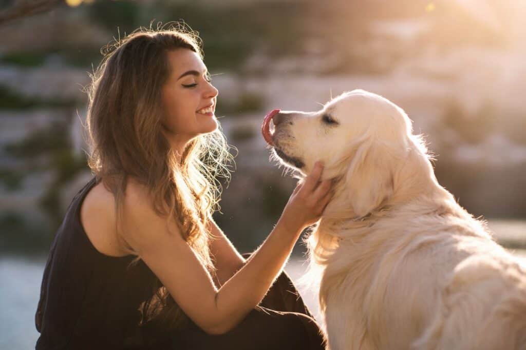 a woman smiles as her pup licks his face after learning how to prevent costly dog problems