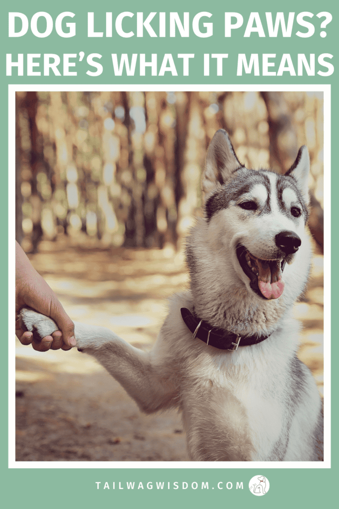 Wondering why your dog keeps licking their paws? Discover what causes dog licking paws, when it’s normal, and when you should worry. Plus easy solutions like enrichment ideas, paw care, and calming tricks every dog owner should know. For more great dog tips, visit tailwagwisdom.com