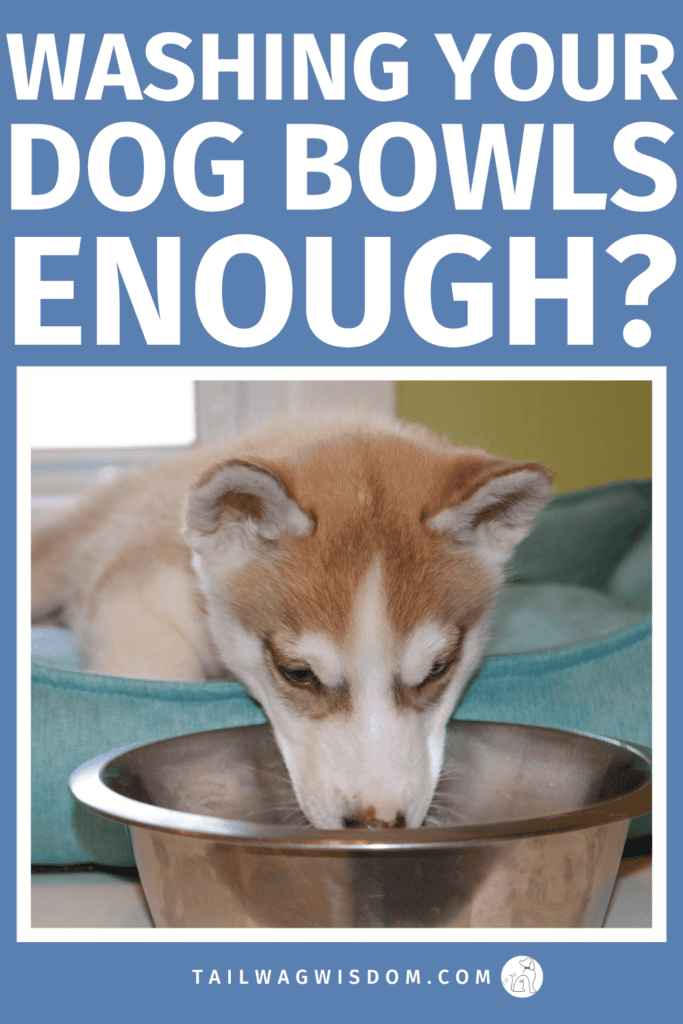 Most pet owners aren’t washing dog bowls often enough! Discover the right schedule, hidden risks, and simple pet care tips to protect your dog’s health. For more dog care tips visit tailwagwisdom.com