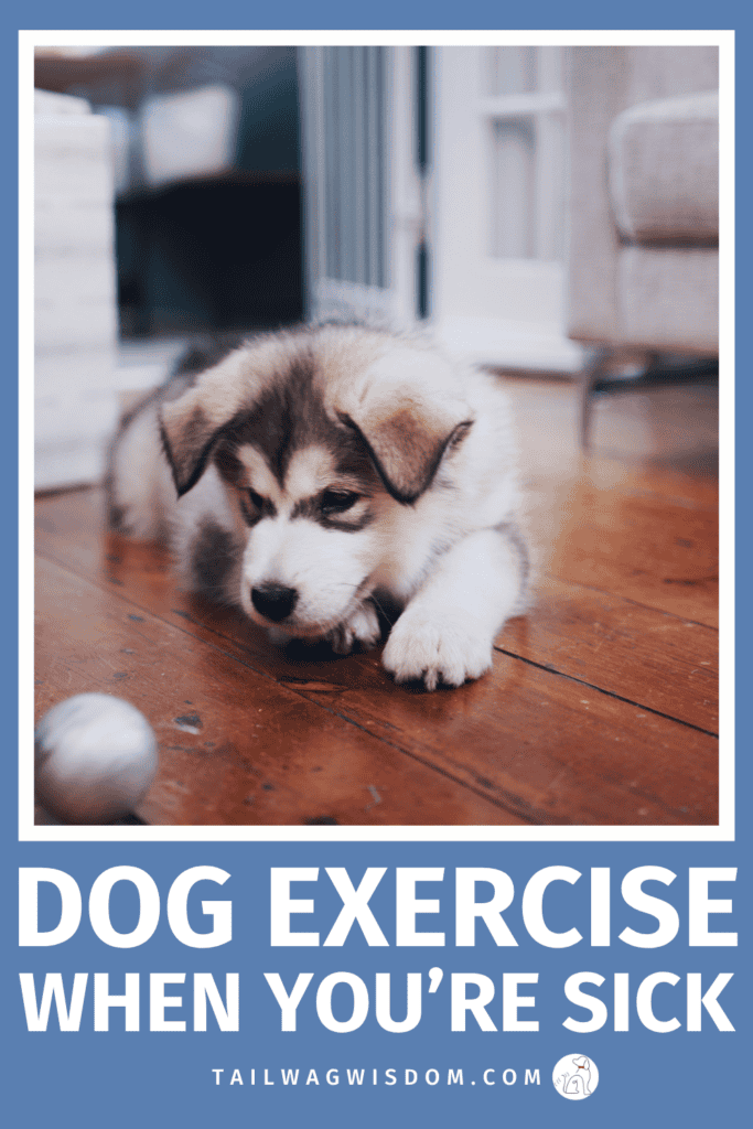Low energy but your dog isn’t? These gentle dog exercise ideas and dog hacks help prevent dog boredom while supporting your recovery. Perfect for any tired dog mom. For more great dog tips, visit tailwagwisdom.com