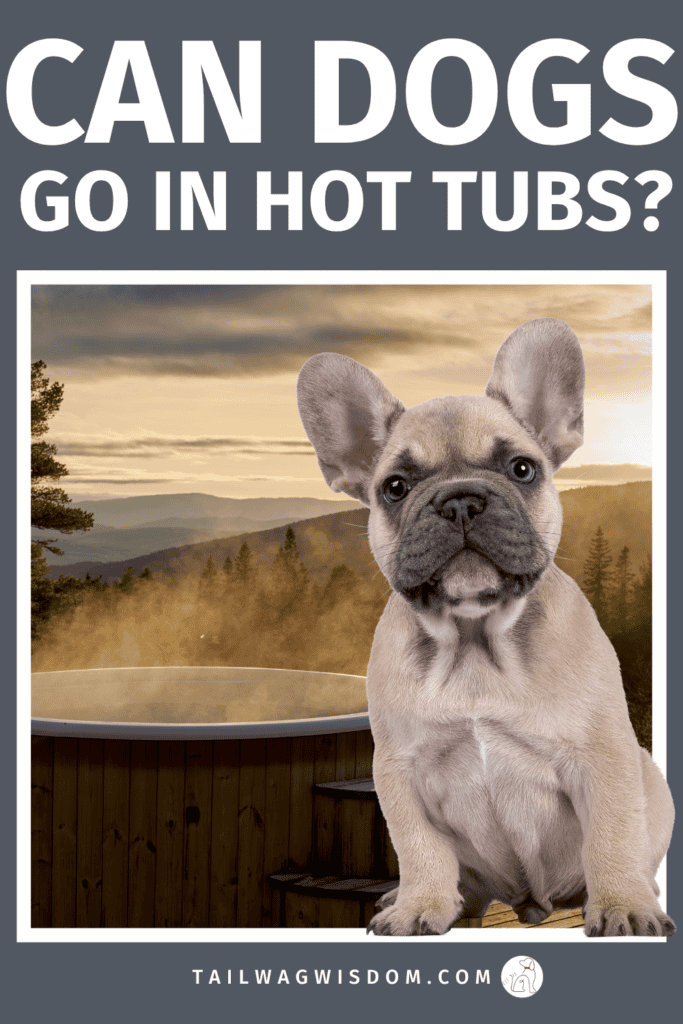 Can dogs go in hot tubs safely? Learn important dog safety tips, smart dog care advice, and hidden risks every dog mom and dog lover should know before letting pups near hot water. Find out more great tips at tailwagwisdom.com