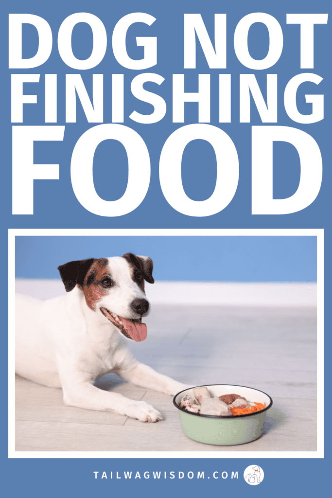 Wondering why your dog is skipping meals? Learn the real reasons behind dog not finishing food, plus helpful dog care tips, dog health tips, and simple ways to improve your pup’s pet health. Visit tailwagwisdom.com for more great dog tips.