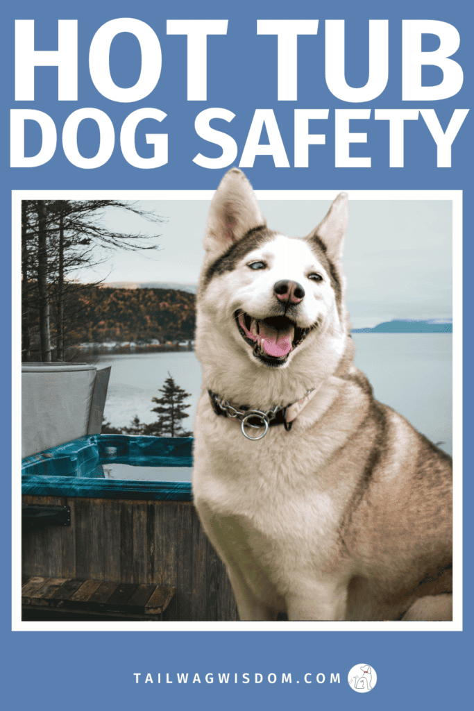 Before your next soak, read these essential dog health tips about hot tubs, overheating, and safe dog friendly relaxation ideas for your adventure dog. For more great dog care tips, visit tailwagwisdom.com