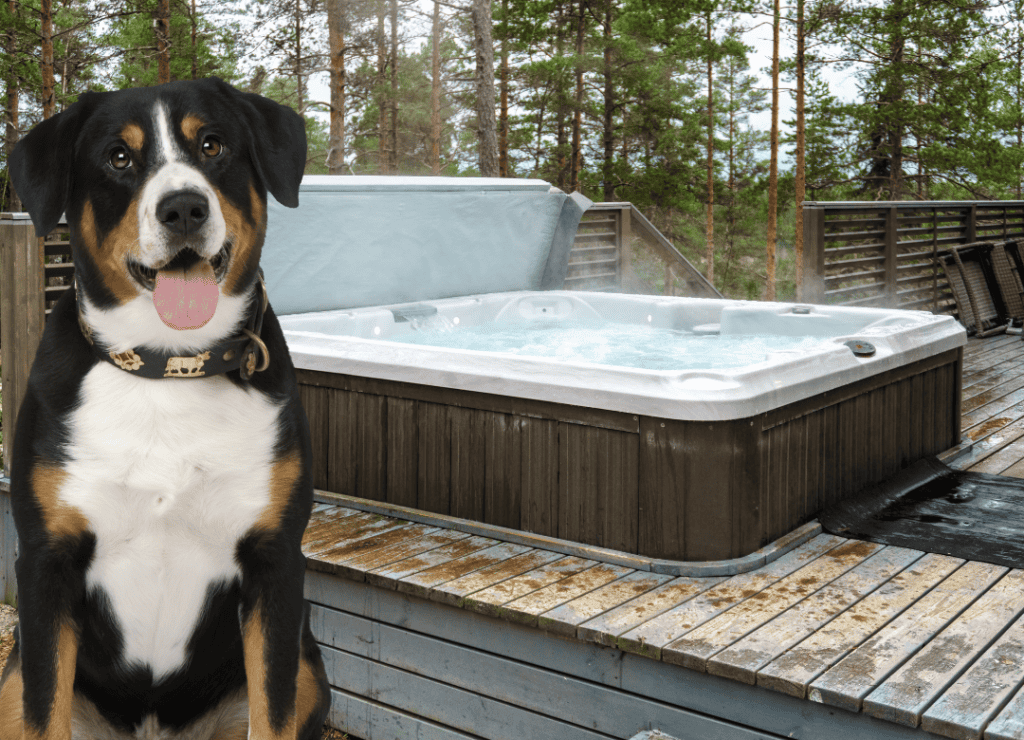 a mountain dog sits in front of a spa and wonders can dogs go in hot tubs safely?