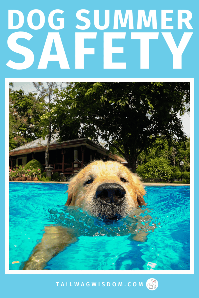 Protect your pup with this essential dog summer safety checklist. Learn important dog safety tips, practical dog care tips, and easy ways to prevent warm-weather dangers before they become emergencies. Get more dog tips at tailwagwisdom.com