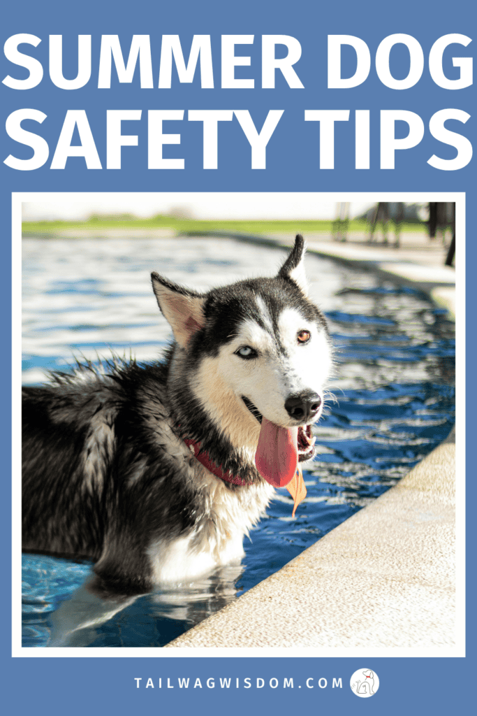 Hot weather can create hidden risks for dogs. Discover simple dog summer safety strategies, helpful dog health tips, and must-know advice for every dog mom and dog lover this season. For more great dog tips, visit tailwagwisdom.cm