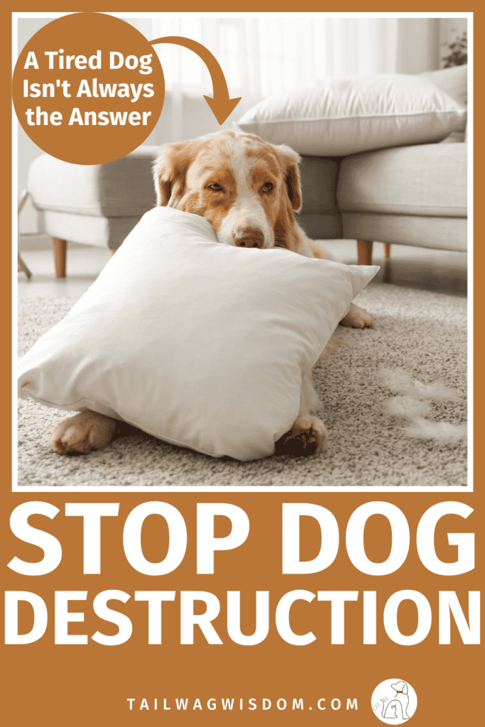 Chewing, digging, or destroying your home? Learn which solutions really work for destructive dog behavior with helpful dog exercise, dog hacks, and proven dog training techniques. For more dog tips, visit tailwagwisdom..com