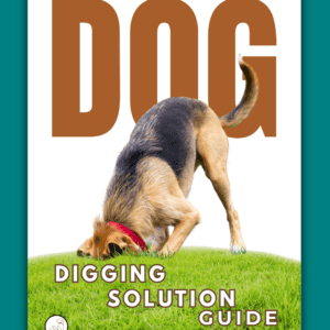Dog Digging Solution Guide