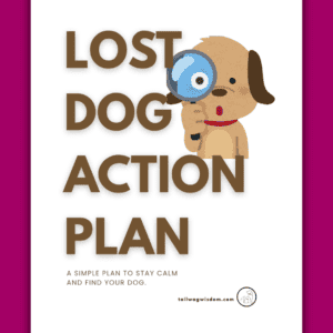 cover of the Lost Dog Action Plan