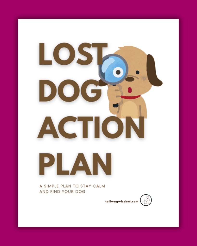 cover of the Lost Dog Action Plan