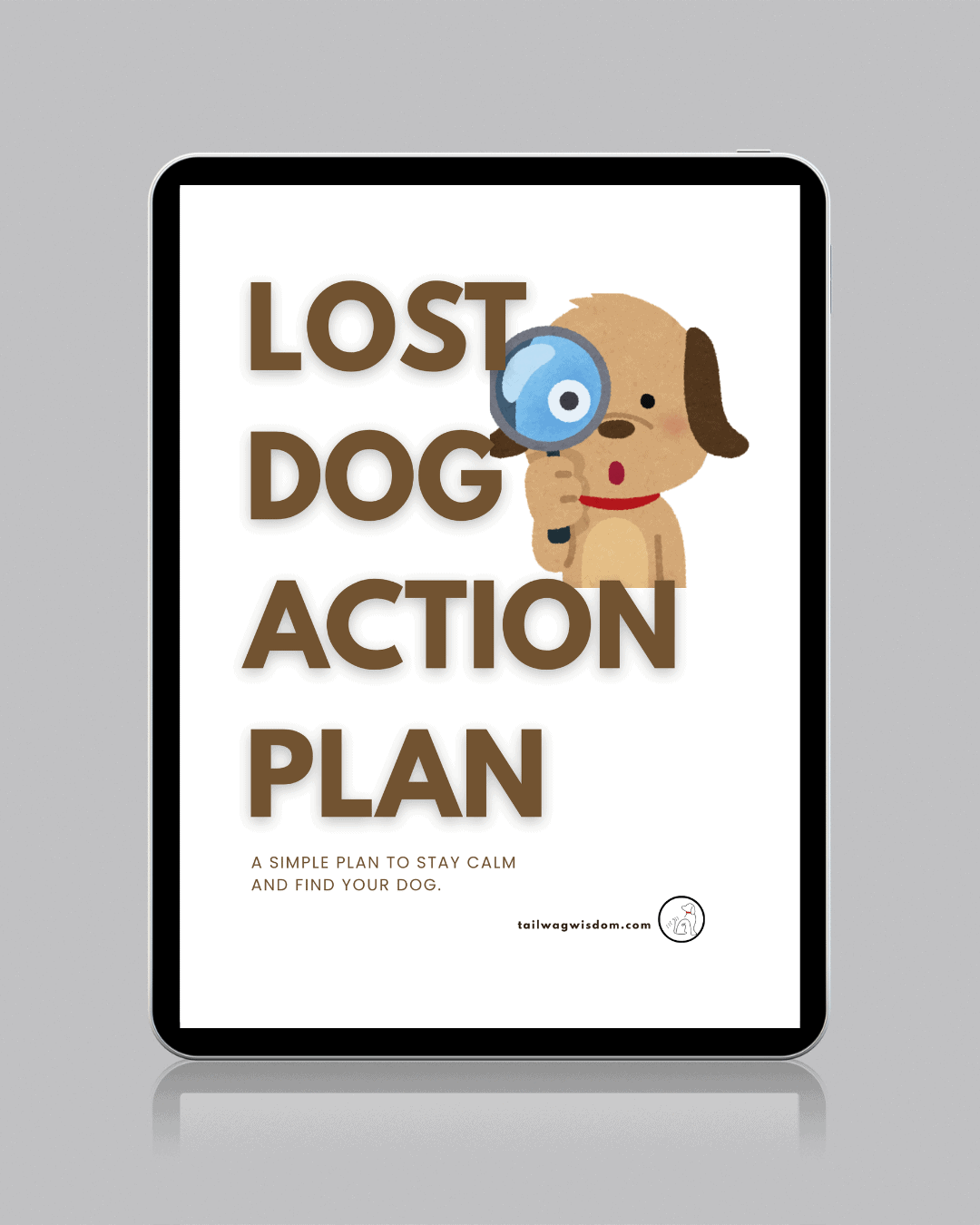 Lost Dog Action Plan - Image 2