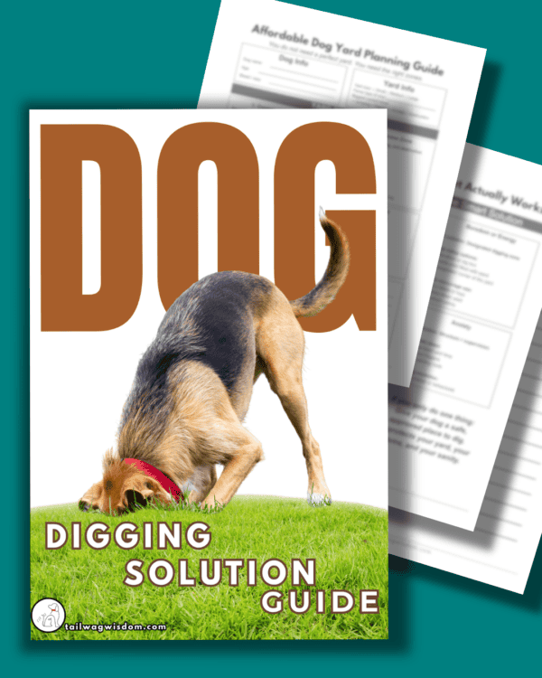 Dog Digging Solution Guide - Image 3