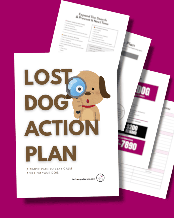 Lost Dog Action Plan - Image 3