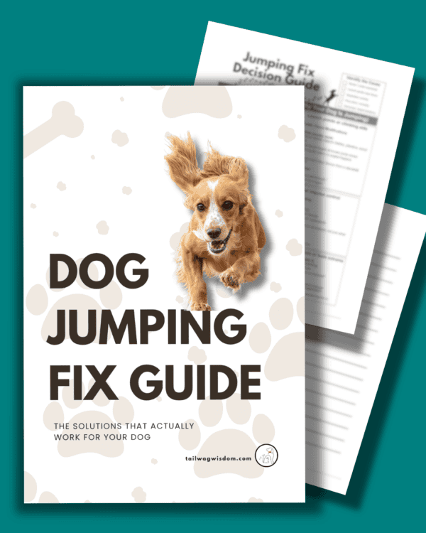 Dog Jumping Fix Guide - Image 3