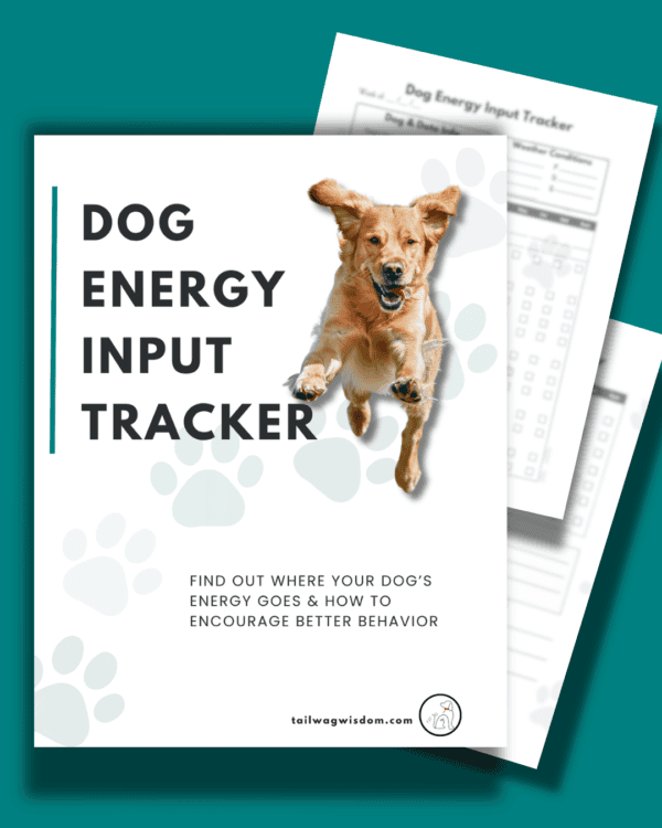 Dog Energy Input Tracker - Image 3