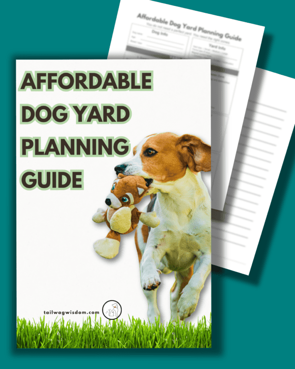 Affordable Dog Yard Planning Guide - Image 3