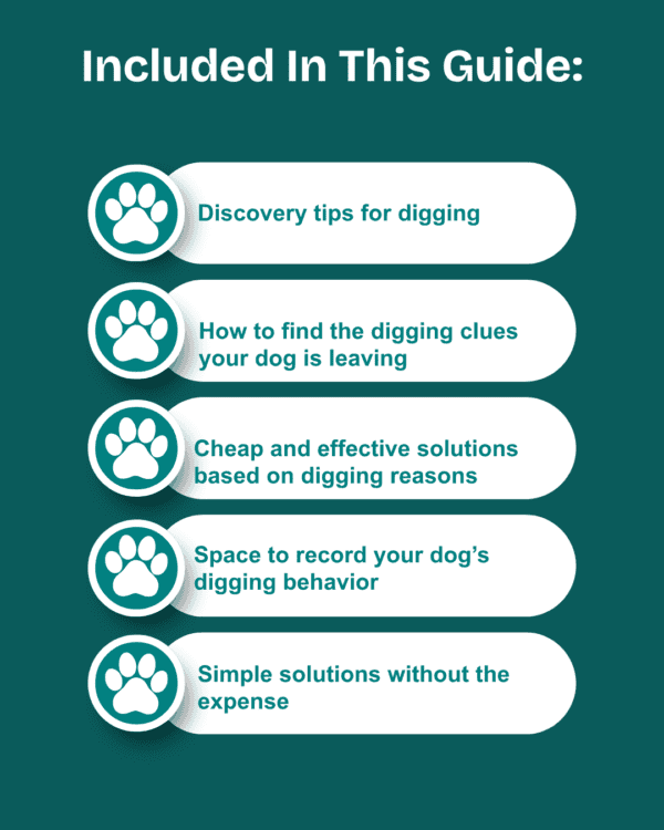 Dog Digging Solution Guide - Image 4