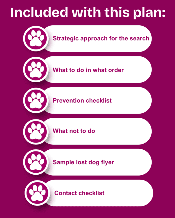 Lost Dog Action Plan - Image 4