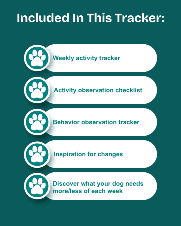 Dog Energy Input Tracker - Image 4