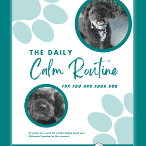 Cover of The Calm Daily Routine