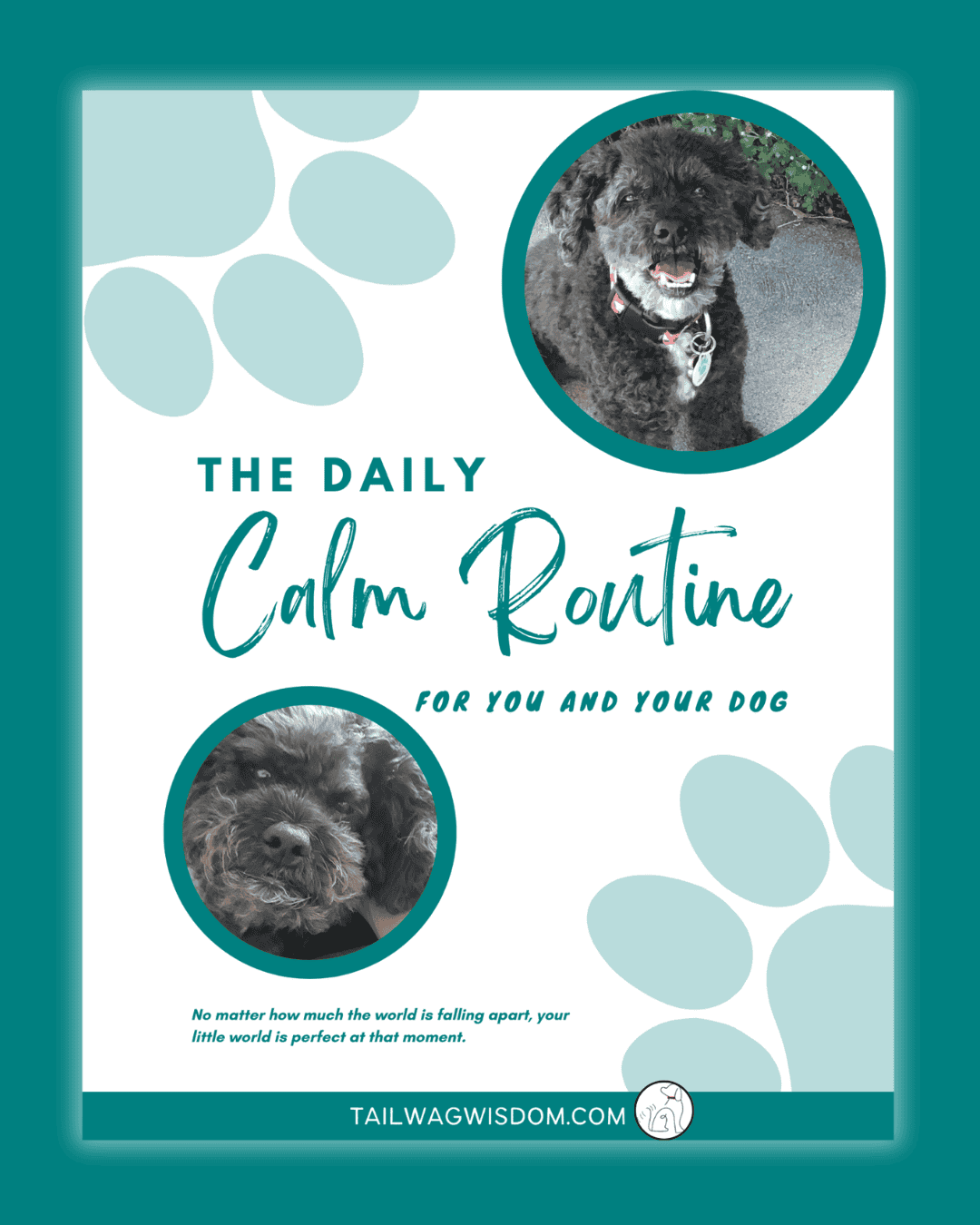 Cover of The Calm Daily Routine