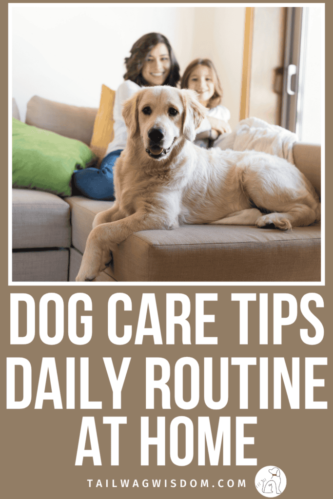 A simple daily routine at home with your dog does not have to be complicated. Small, consistent habits make a big difference for your pup and for you. This dog care guide walks you through exactly what to do and when. For more dog care tips, visit tailwagwisdom.com