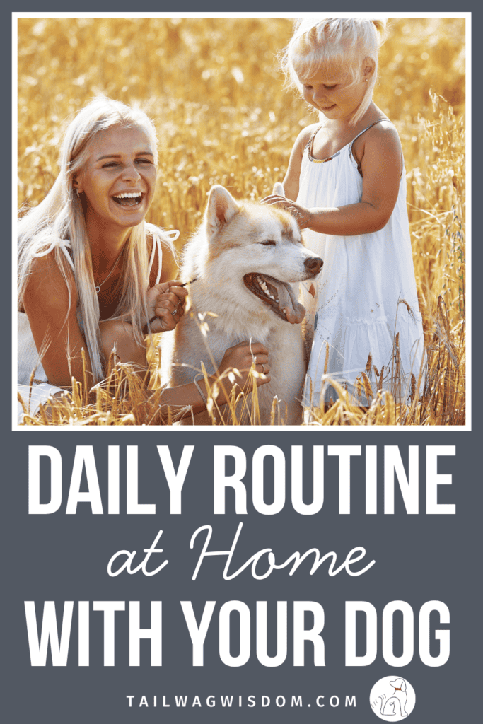 If you are looking for a calmer, more connected daily routine at home with your dog, this is where to start. Simple pet care habits done consistently are the whole game. For more dog mom tips, visit tailwagwisdom.com