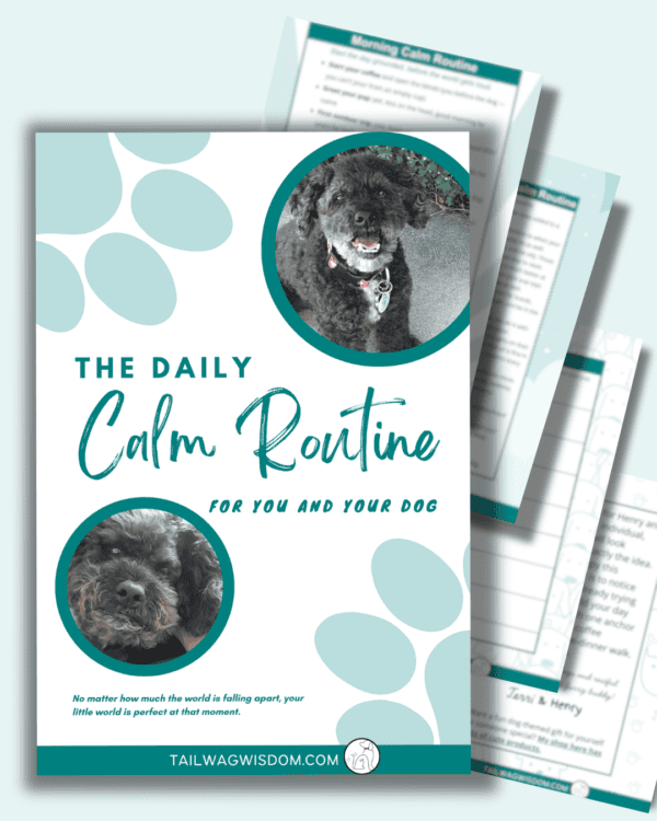 Entire pdf of Calm Daily Routine