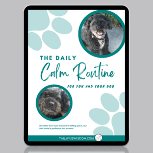tablet version of Calm Daily Routine