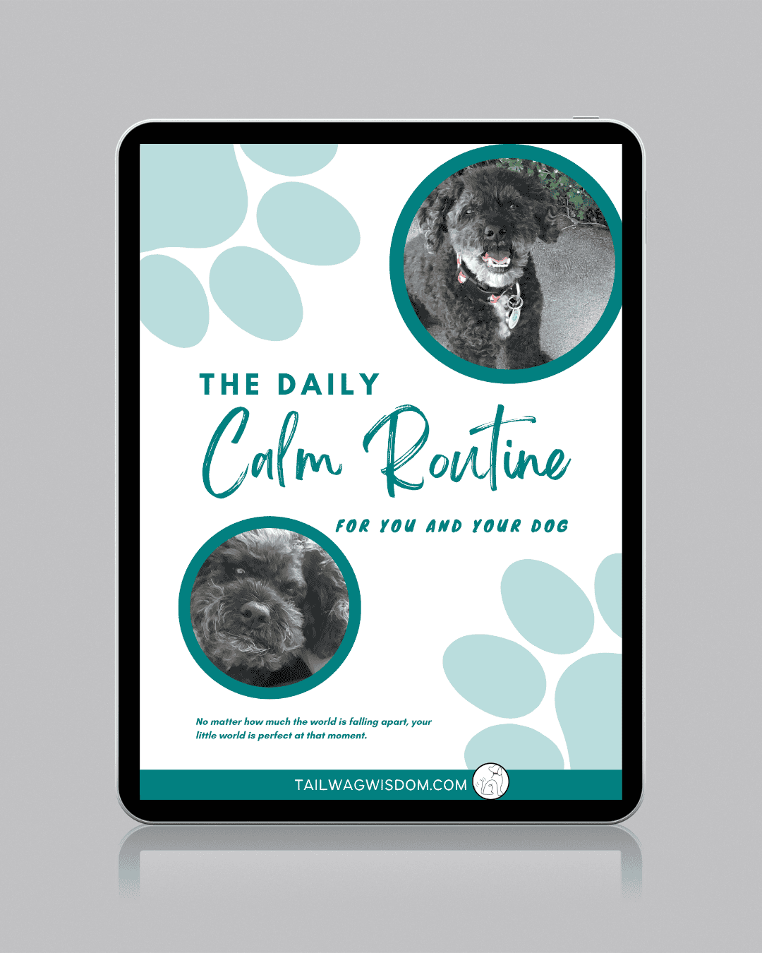 tablet version of Calm Daily Routine
