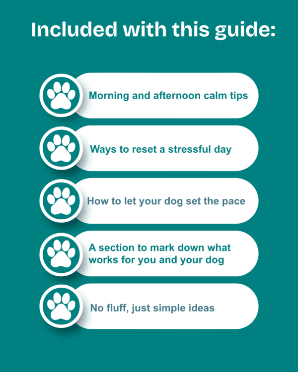 What you get with Calm Daily Routine