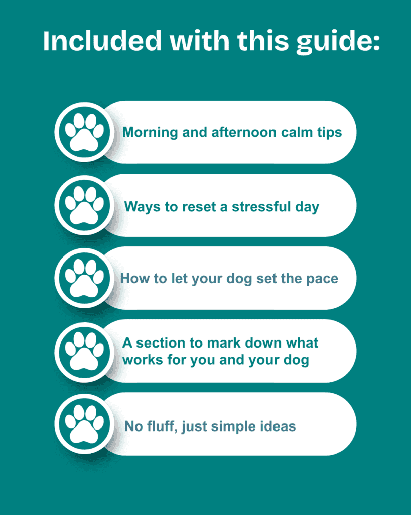 A breakdown of what's included in the Calm Daily Routine guide and how it can help you and your dog.